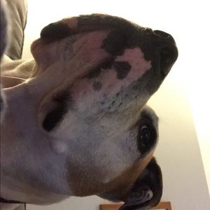 Meet your Posher, Eemma